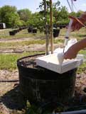 liquid in syringe is placed in filter paper