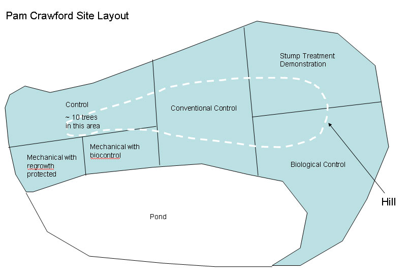 crawford_layout.jpg